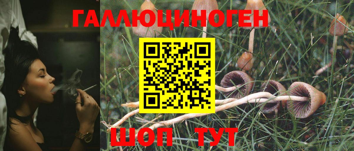 Галлюциногенные грибы прущие грибы  Вход с VPN  Славгород 