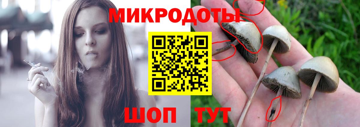 Галлюциногенные грибы Cubensis Славгород